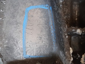 229f788dd23cdd15535a711dbc1bd120_2454102.jpeg