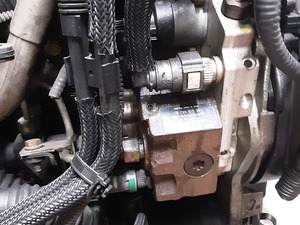 ca0b12042ac37eeb109d06d21210176e_2320696.jpeg