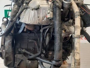 f352de6c5aa810678f31d0ea30dbb06f_2204073.jpeg