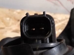 5e0313308a953cea7b41bf33392b4dd7_2002185.jpeg