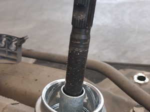 821433f00664375717a5783277521ec0_2555035.jpeg