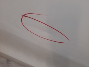 b09c836e4ae2aec1a7fb20df6f301838_2475285.jpeg
