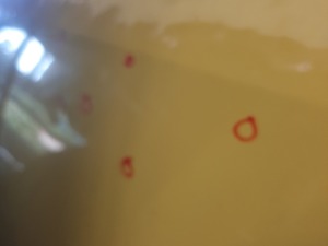 aeb906e0dc92aa74b22682d0b04a6b5b_2659033.jpeg