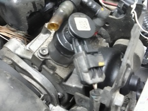 f2a3d03ac0ae8d32a1f88f69c32b5cad_1926770.jpeg